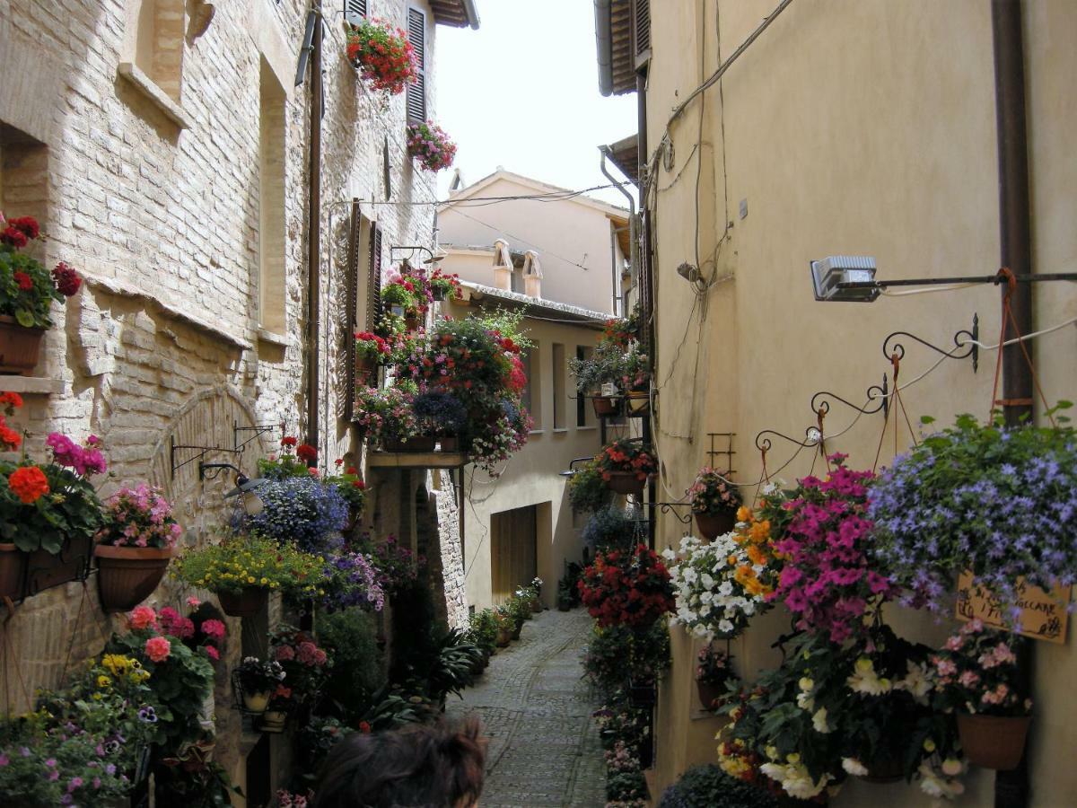 Appartamento Casa Berti Spello Esterno foto