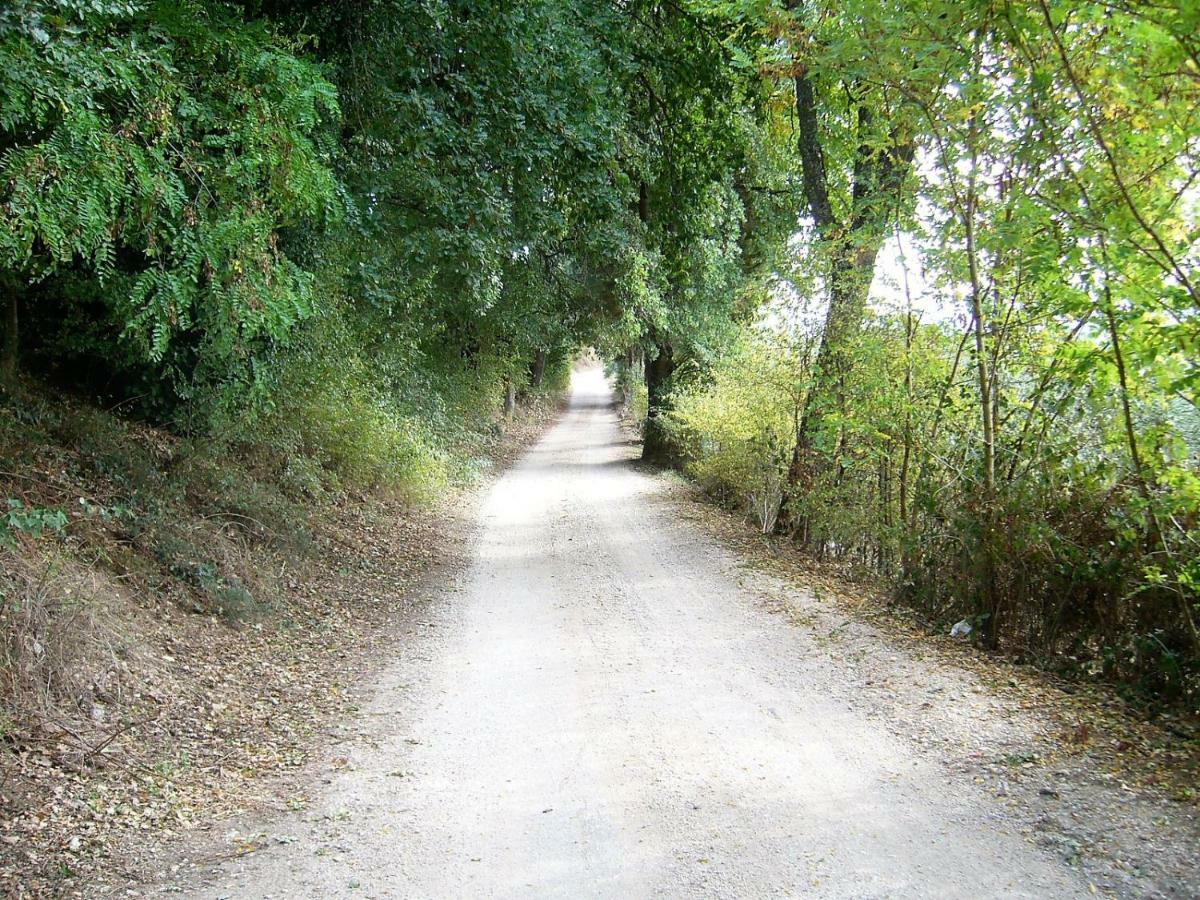 Appartamento Casa Berti Spello Esterno foto